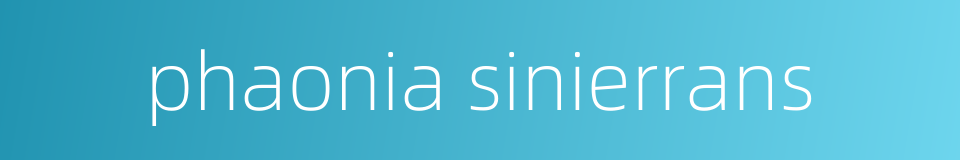 phaonia sinierrans的同义词