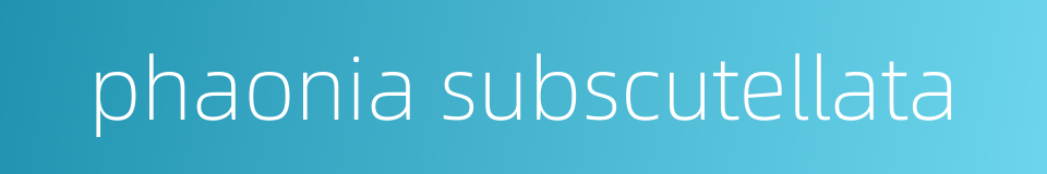 phaonia subscutellata的同义词
