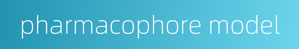 pharmacophore model的同义词