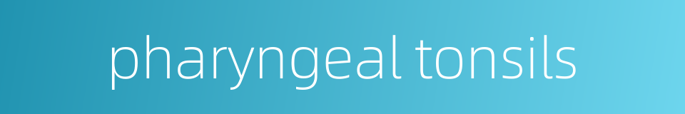 pharyngeal tonsils的同义词