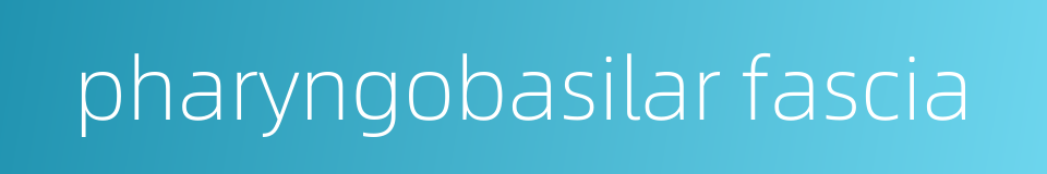 pharyngobasilar fascia的同义词