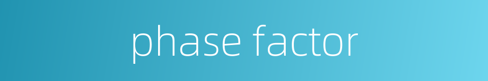 phase factor的同义词