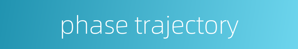 phase trajectory的同义词