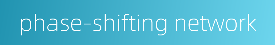 phase-shifting network的同义词