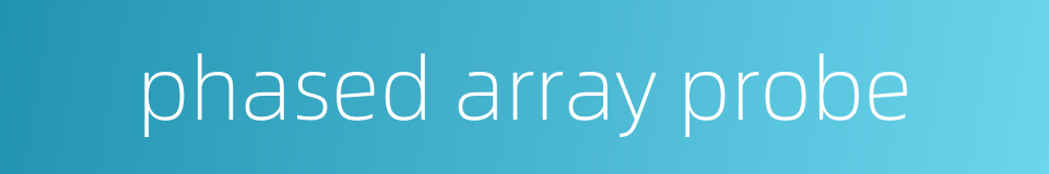 phased array probe的同义词