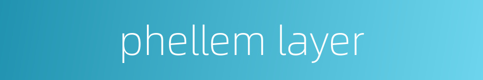 phellem layer的同义词