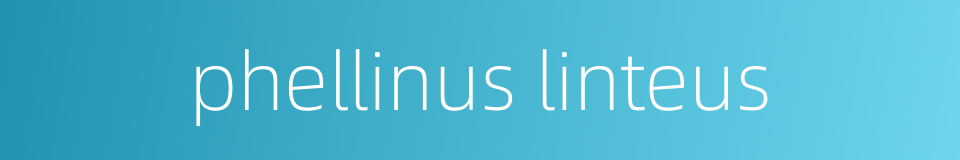 phellinus linteus的同义词