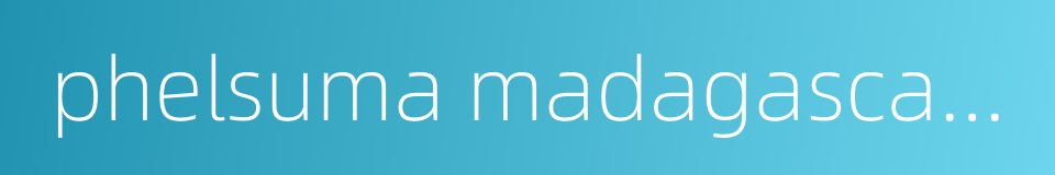 phelsuma madagascariensis的同义词
