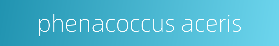 phenacoccus aceris的同义词