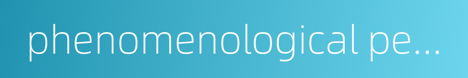 phenomenological pedagogy的同义词