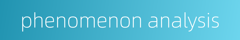 phenomenon analysis的同义词