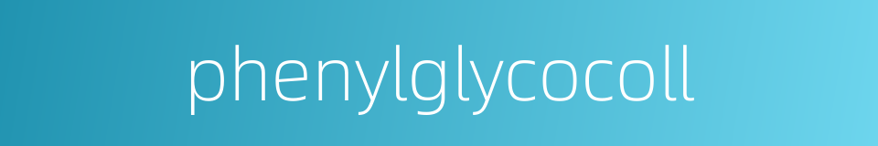 phenylglycocoll的同义词