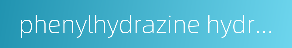 phenylhydrazine hydrochloride的同义词