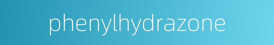 phenylhydrazone的同义词