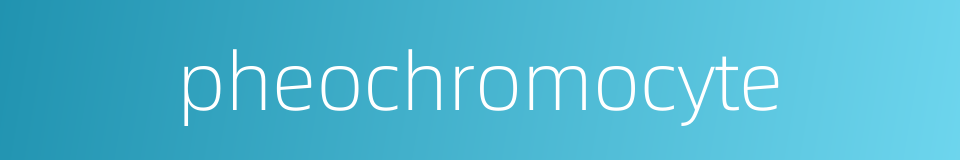 pheochromocyte的同义词