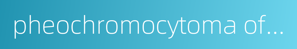 pheochromocytoma of bladder的同义词