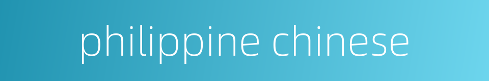 philippine chinese的同义词
