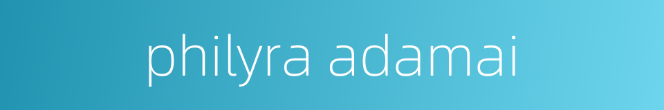 philyra adamai的同义词