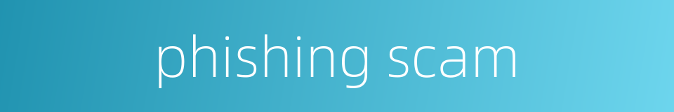 phishing scam的同义词