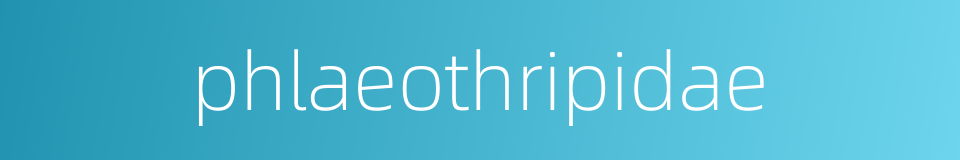phlaeothripidae的同义词