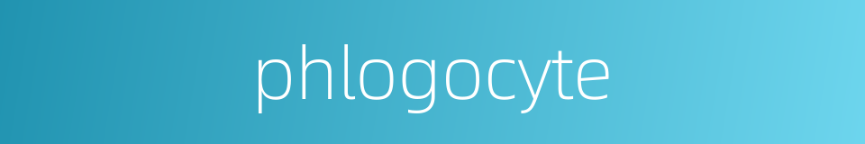 phlogocyte的同义词