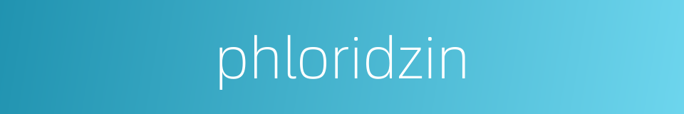 phloridzin的同义词