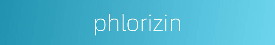 phlorizin的同义词