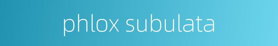 phlox subulata的同义词