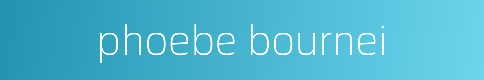 phoebe bournei的同义词