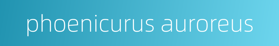 phoenicurus auroreus的同义词