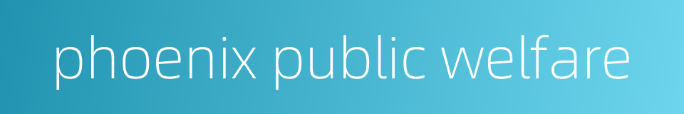 phoenix public welfare的同义词