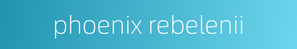 phoenix rebelenii的同义词