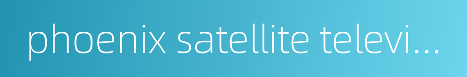 phoenix satellite television的同义词