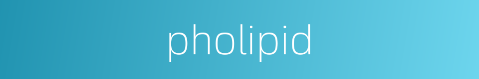 pholipid的同义词
