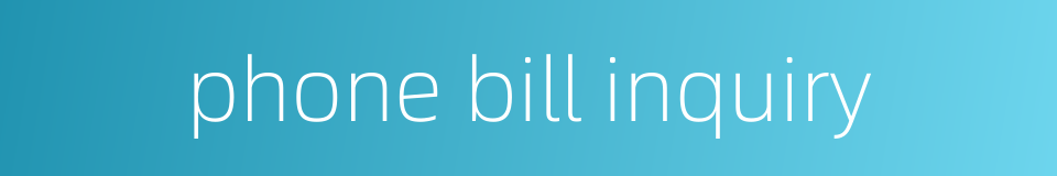 phone bill inquiry的同义词