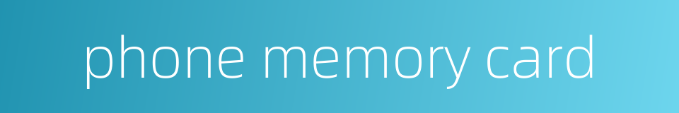phone memory card的同义词