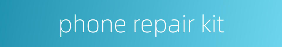 phone repair kit的同义词