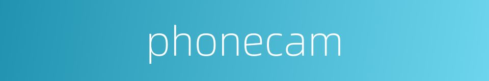 phonecam的同义词