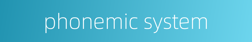 phonemic system的同义词