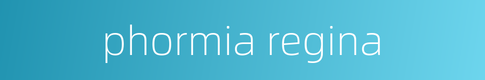 phormia regina的同义词