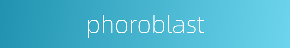 phoroblast的同义词