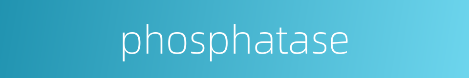 phosphatase的同义词