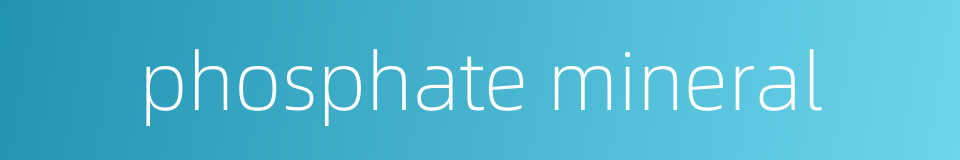 phosphate mineral的同义词