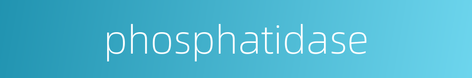phosphatidase的同义词