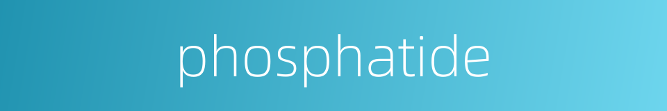 phosphatide的同义词
