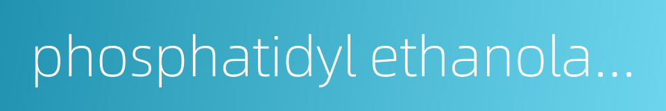 phosphatidyl ethanolamine的同义词