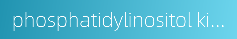 phosphatidylinositol kinase的同义词