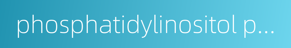 phosphatidylinositol phosphate的同义词