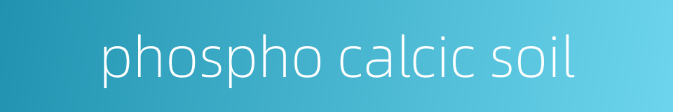 phospho calcic soil的同义词