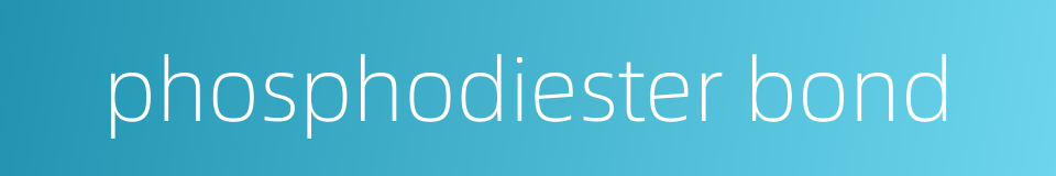phosphodiester bond的同义词